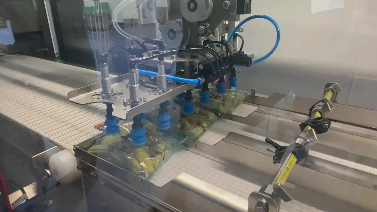Fox Precision Tooling EOAT built for a gantry / Cartesian robot